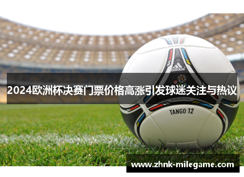 2024欧洲杯决赛门票价格高涨引发球迷关注与热议